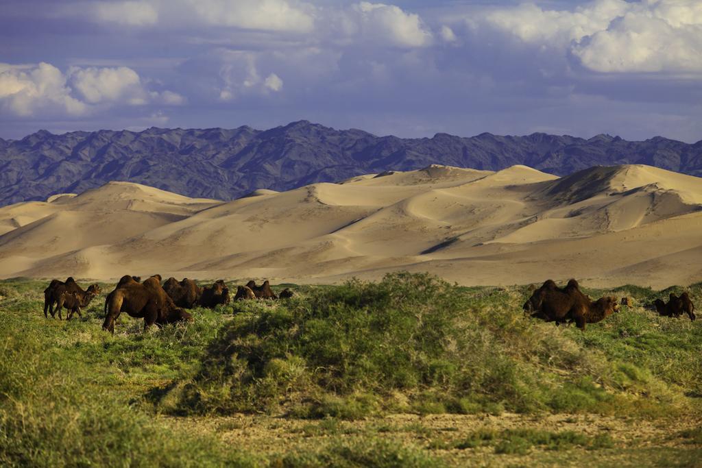 דירות אולן בטור Mongolian Vision Tours מראה חיצוני תמונה